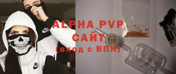мдпв Краснослободск