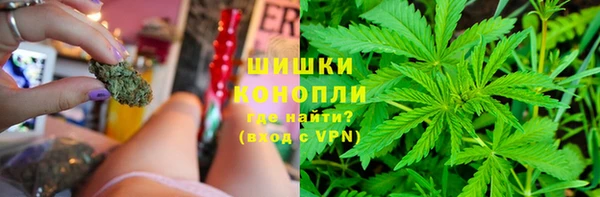 стаф Костерёво