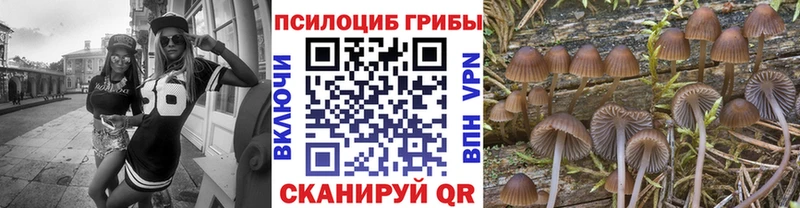 Псилоцибиновые грибы ЛСД  Купить закладки  Александровское 